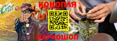 прущие грибы Кингисепп