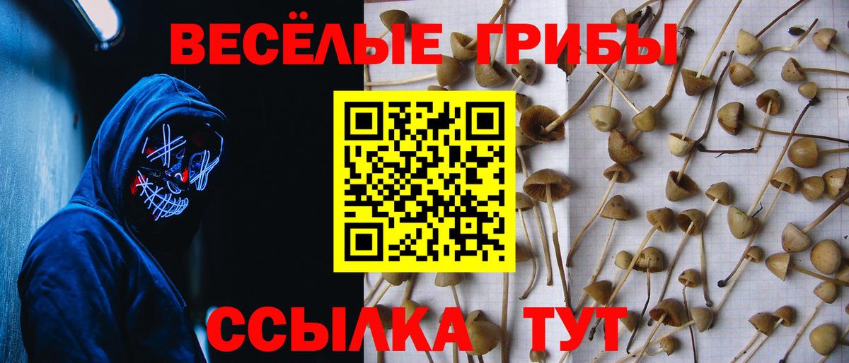 Псилоцибиновые грибы ЛСД Уссурийск