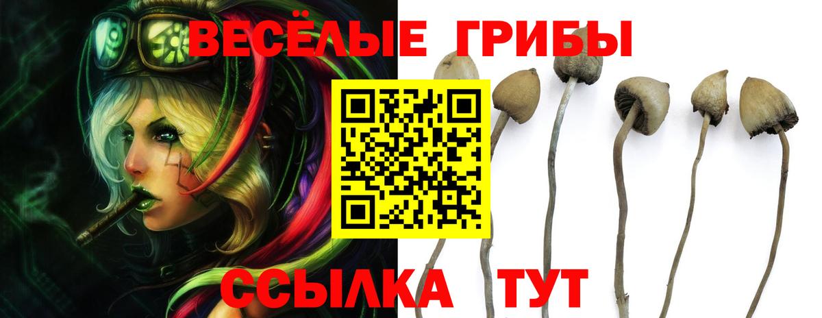 Псилоцибиновые грибы прущие грибы  магазин    Уссурийск  Псилоцибиновые грибы Psilocybine cubensis  Вход с VPN 